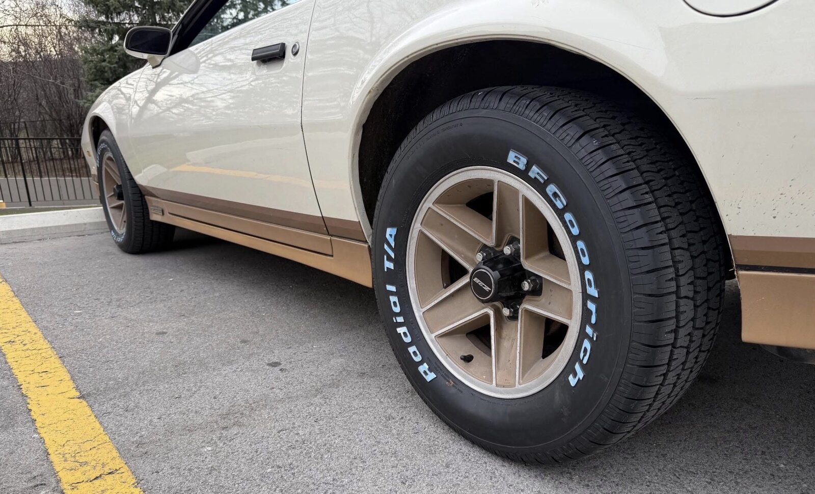 Jenny's new staggered tires — tap to enlarge