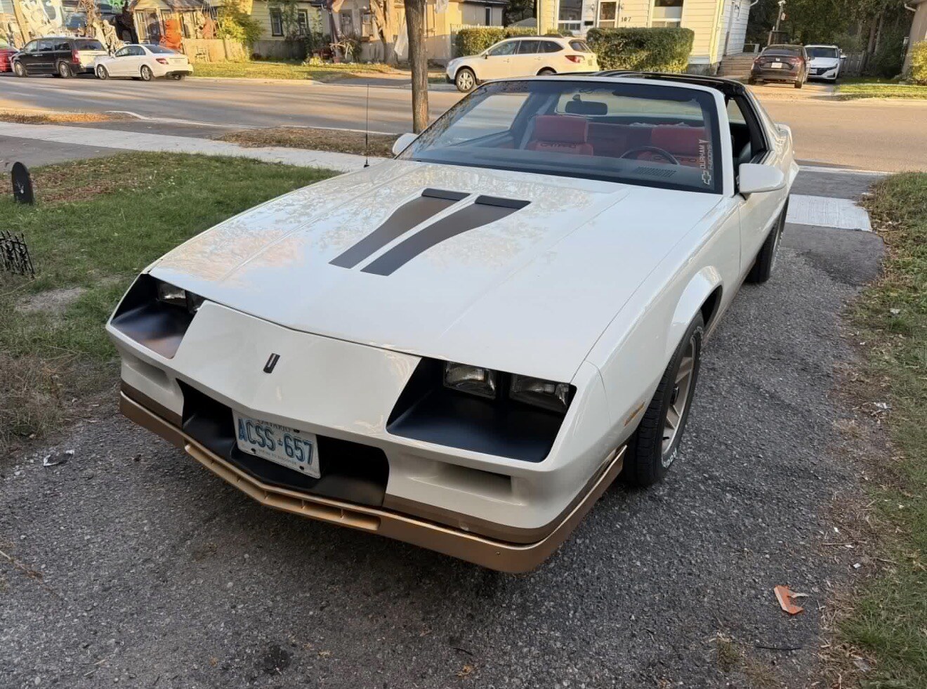 Jenny parked in Barrie with T-tops off — tap to enlarge