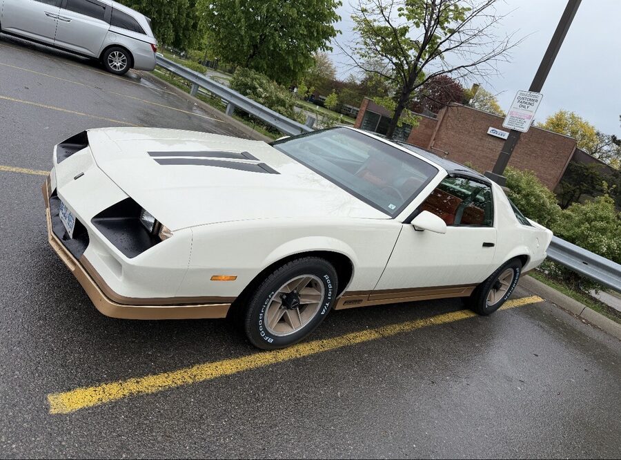 Jenny — white Camaro in a wet parking lot
