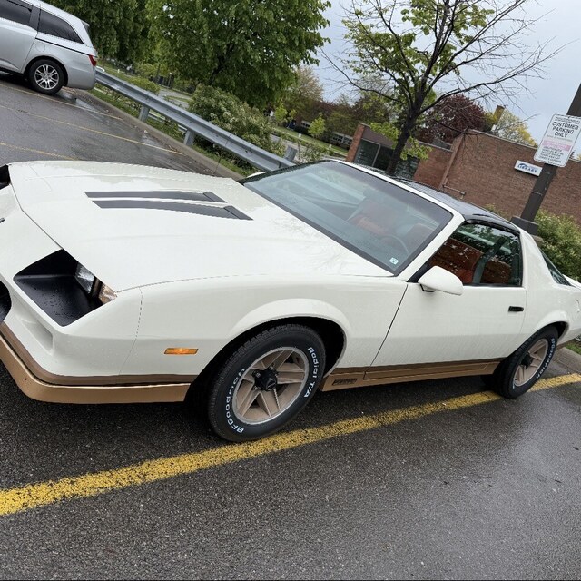 Jenny Camaro
